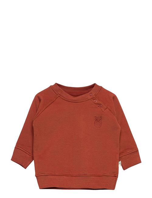 Se Soft Gallery Alexi Sweatshirt Soft Gallery Brown ved Booztlet