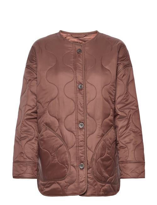 Abercrombie & Fitch Anf Womens Outerwear Abercrombie & Fitch Brown