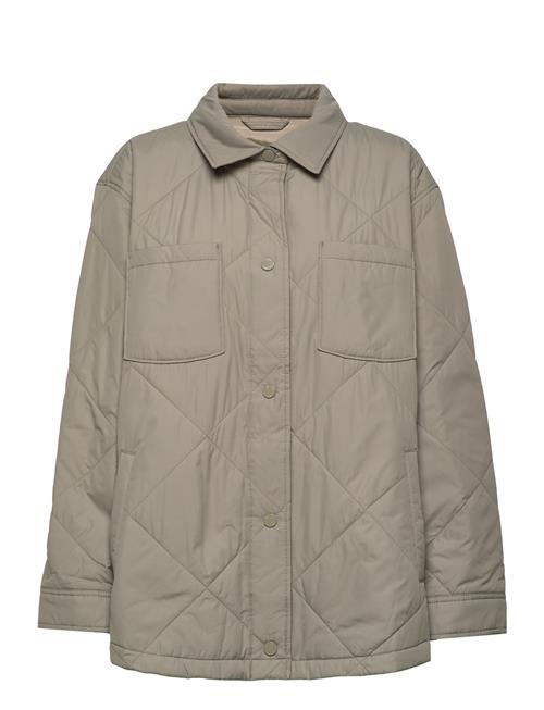 Hco. Girls Outerwear Hollister Khaki