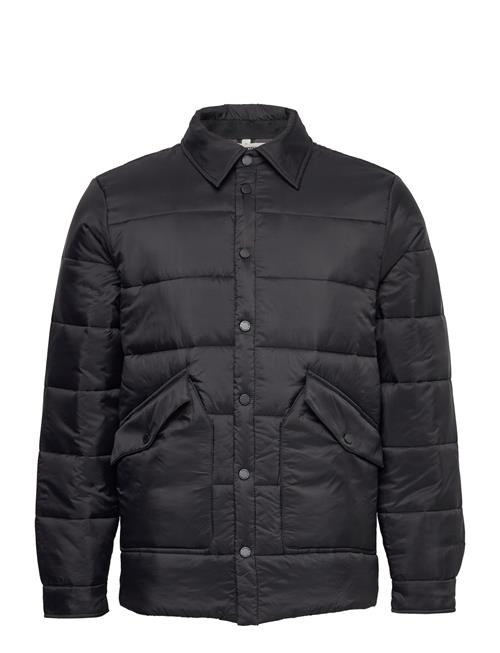 Tretorn Padded Shirt Tretorn Black