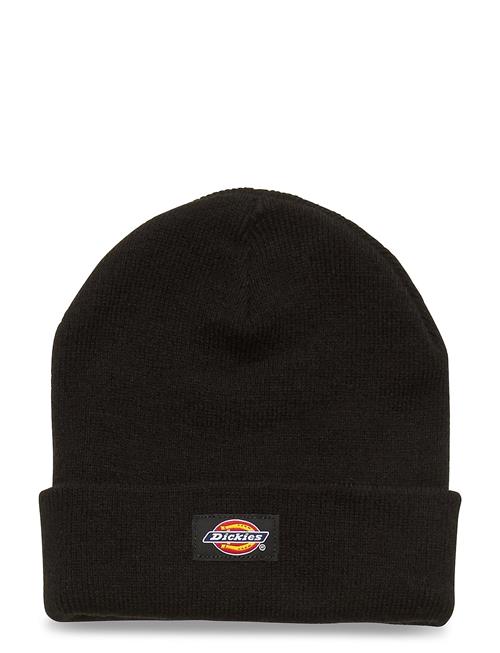 Dickies Gibsland Beanie Dickies Black