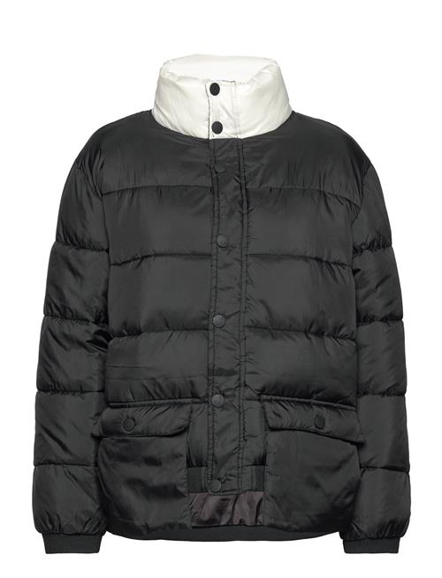 Se Kangol Kg Sam Puffer Jacket Kangol Black ved Booztlet