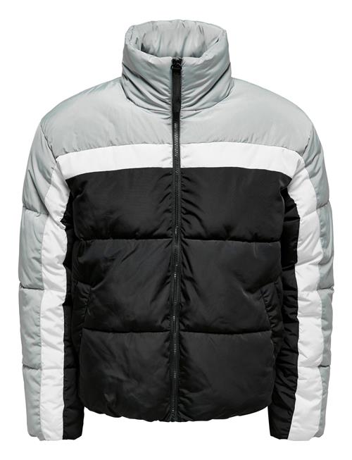 ONLY & SONS Onseverett Puffer Jacket Otw ONLY & SONS Black