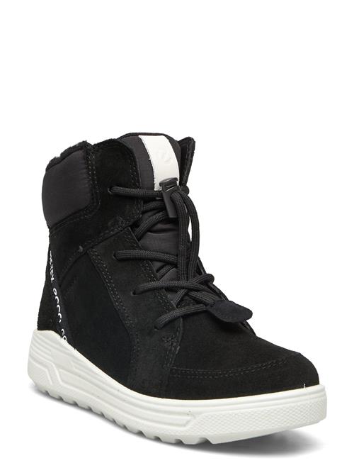 ECCO Urban Snowboarder ECCO Black