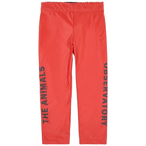 Se The Animals Observatory Chicken Pants Red Apple Black The Animals | Rød | 4 years ved Babyshop