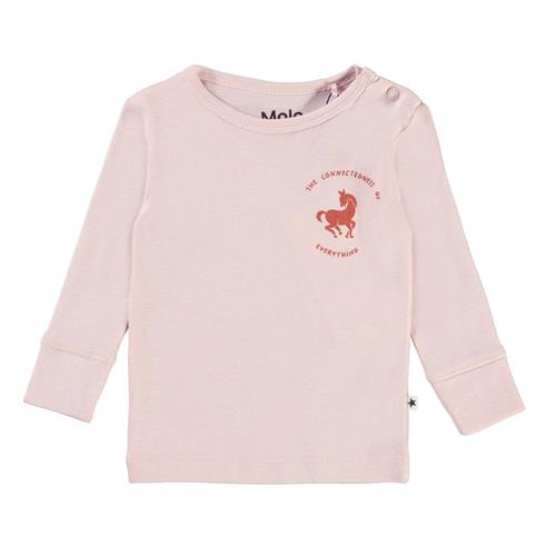 Molo Erica T-shirt Pulver pink | Lyserød | 68 cm