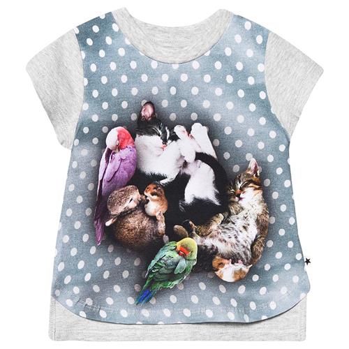 Se Molo Erin T-Shirt Søvnig Kæledyr | Grå | 80 cm ved Babyshop