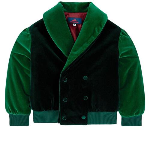 The Animals Observatory Tiger Jacket Deep Green Maroon Tao | Grønn | 3 years