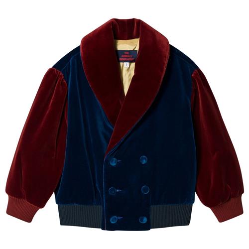 The Animals Observatory Tiger Jacket Navy Blue Yellow Tao | Marine blå | 3 years