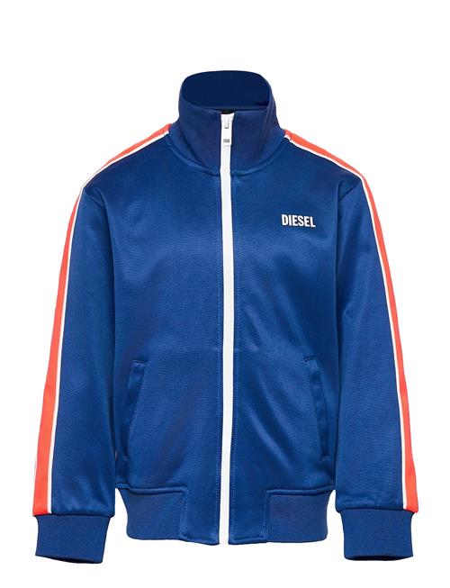 Se Diesel Scortess Sweat-Shirt Diesel Blue ved Booztlet