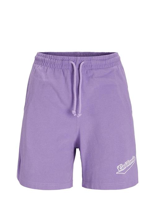 JJXX Jxbarbara Hw Relaxed Vint Shorts JJXX Purple