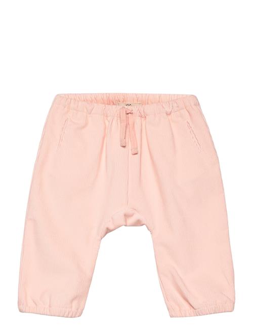 Corduroy Pants For Baby Copenhagen Colors Pink