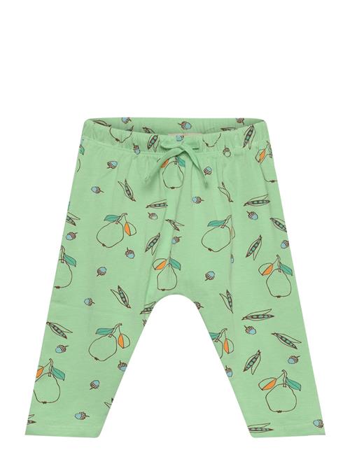 Soft Gallery Sghailey Pear Pants Soft Gallery Green