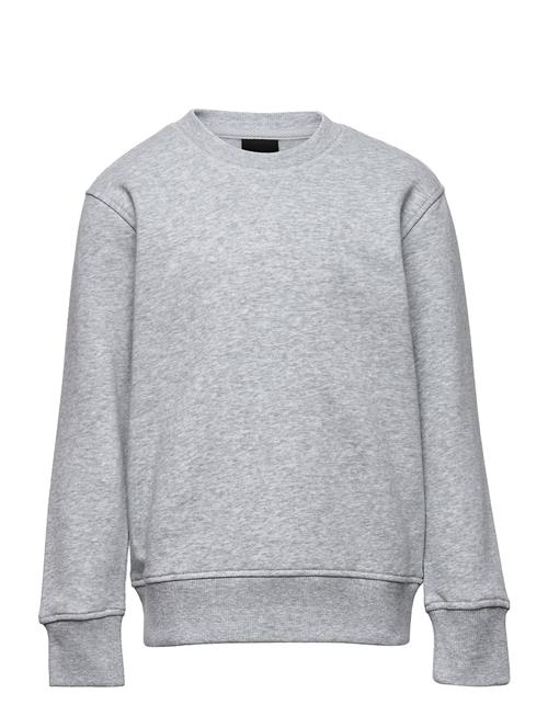 Decoy Decoy Girls Sweatshirt Decoy Grey