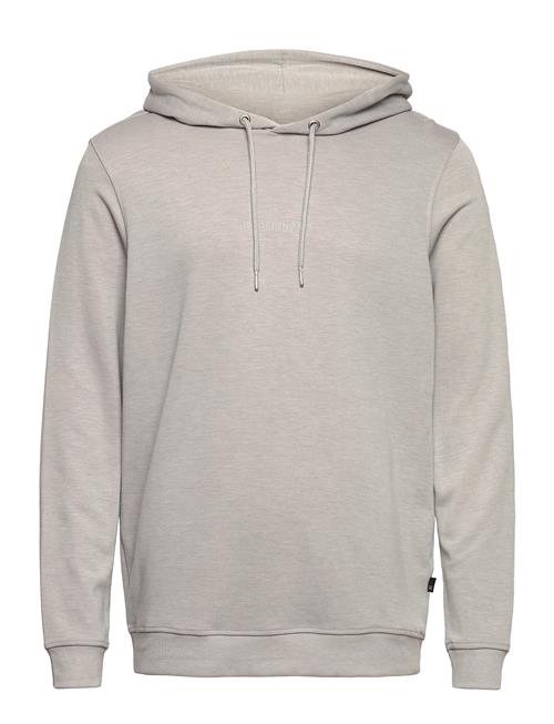 Se JBS of Denmark Jbs Of Dk Logo Hoodie Fsc JBS Of Denmark Grey ved Booztlet