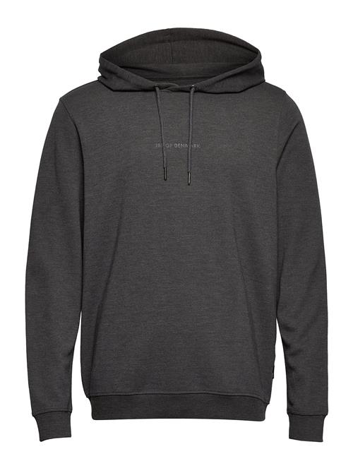 JBS of Denmark Jbs Of Dk Logo Hoodie Fsc JBS Of Denmark Grey