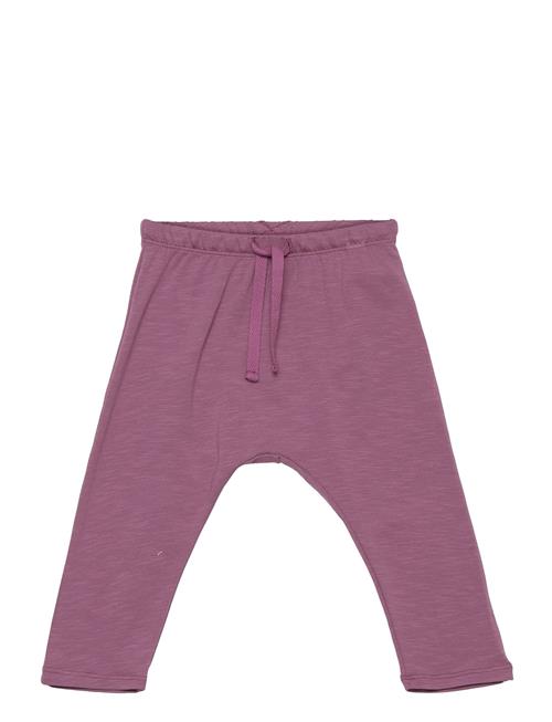 Sghailey New Owl Pants Soft Gallery Purple