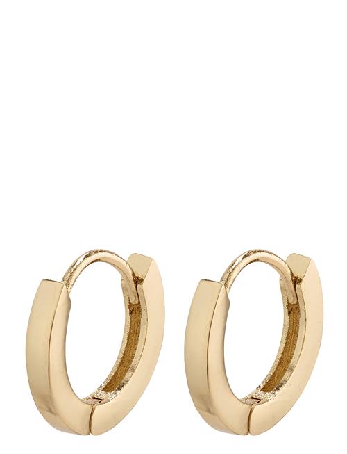 Arnelle Huggie Hoop Earrings Pilgrim Gold