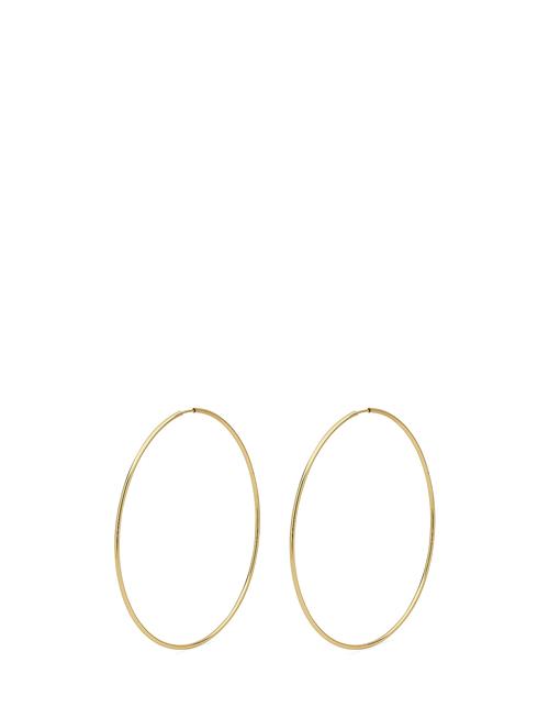 Se Pilgrim Sanne X-Large Hoop Earrings Pilgrim Gold ved Booztlet