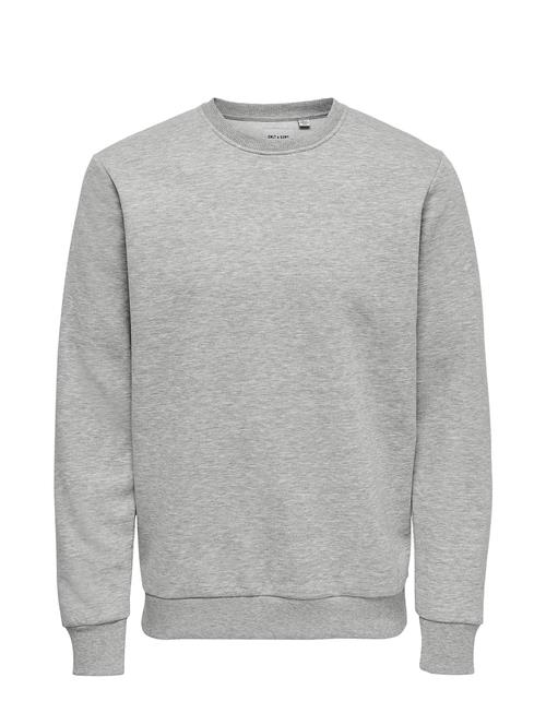 ONLY & SONS Onsceres Crew Neck Noos ONLY & SONS Grey