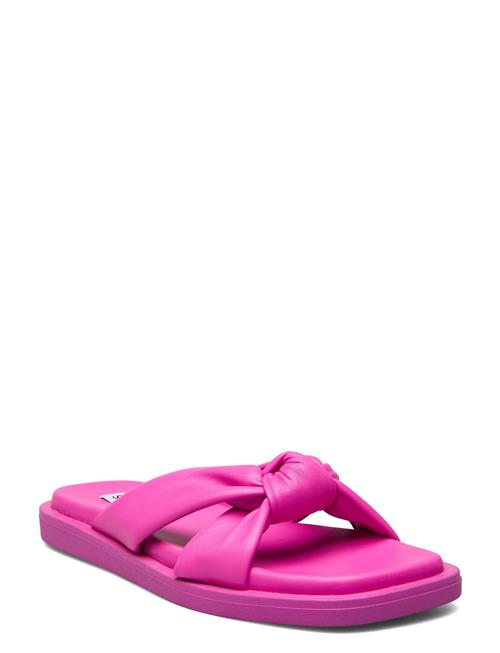 Allistar Sandal Steve Madden Pink