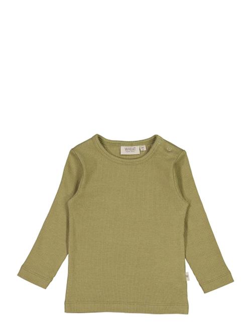 T-Shirt Nor Ls Wheat Green