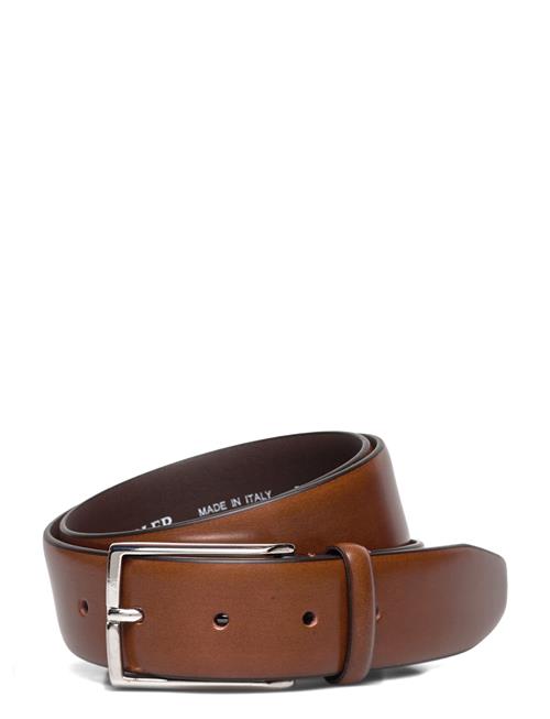Cederlund Saddler Brown