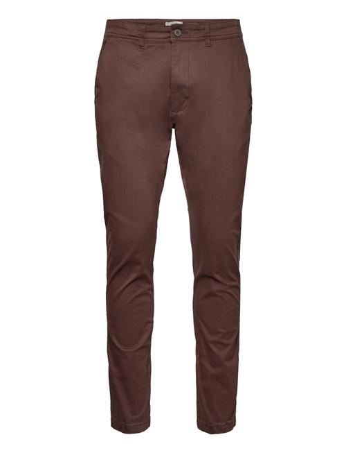 Sdjim Pants 6208601, Pants - Sdjim Solid Brown