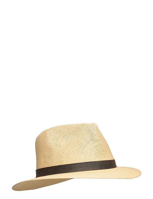 Fedora Country Hat Wigéns Brown