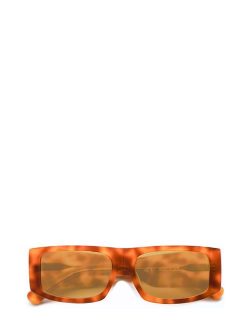 Corlin Eyewear Hailey Corlin Eyewear Brown