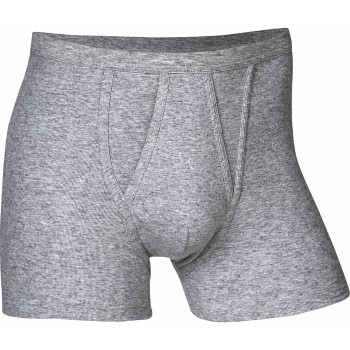 JBS Basic Fly Boxer Grå bomuld 3XL Herre