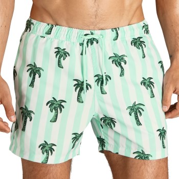 Björn Borg Badebukser Sylvester Swim Shorts Lysegrøn polyester X-Large Herre