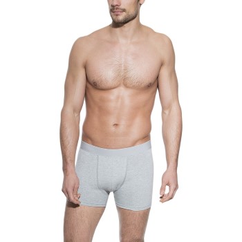 Bread & Boxers Bread and Boxers Boxer Brief Grå økologisk bomuld Small Herre