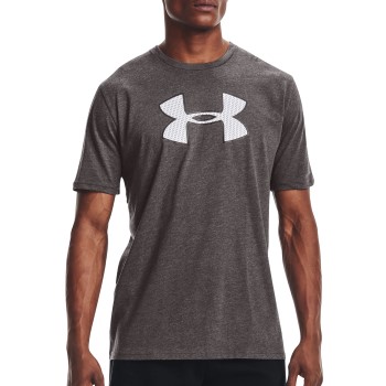 Se Under Armour Graphic Big Logo T-shirt Grå X-Large Herre ved Timarco