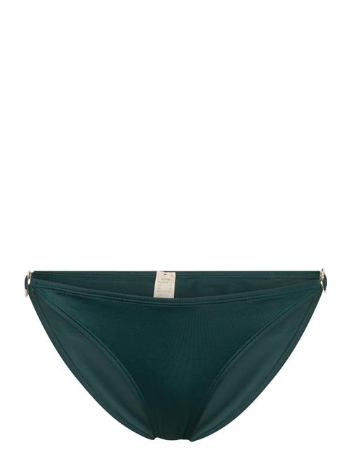 Dorina Opio Brief Dorina Green