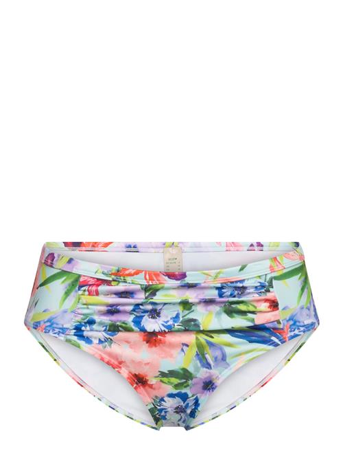 Core Bako Hipster_Classic Dorina Patterned