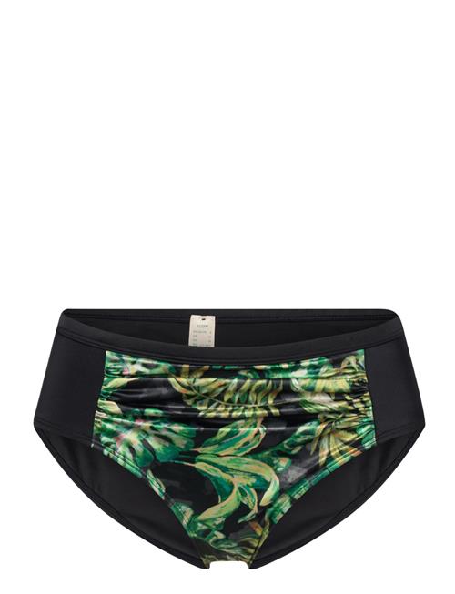 Core Bako Hipster_Classic Dorina Green