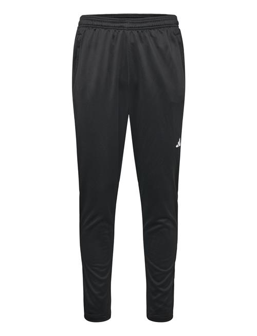 Tr-Es+ Pant Adidas Performance Black