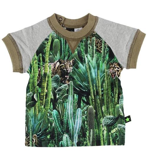 Se Molo Molo T-shirt - Eton - Cactus Bite ved KidsWorld