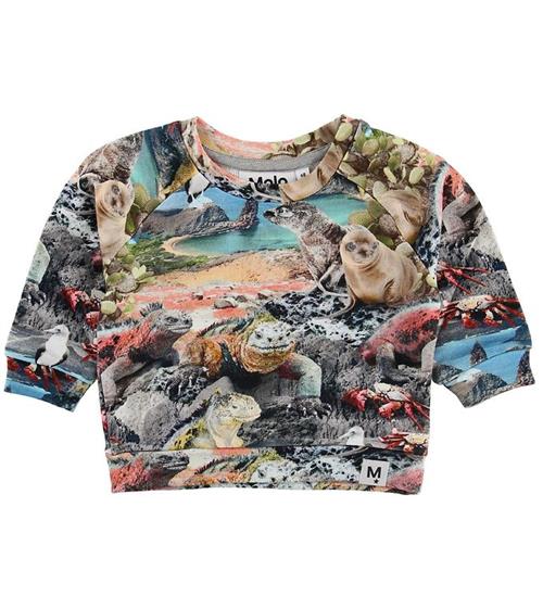 Molo Molo Sweatshirt - Dag - Galapagos Wildlife