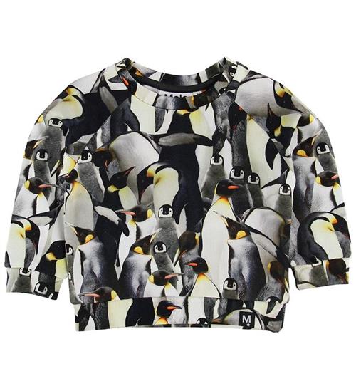 Se Molo Molo Sweatshirt - Dag - Penguins Galore ved KidsWorld