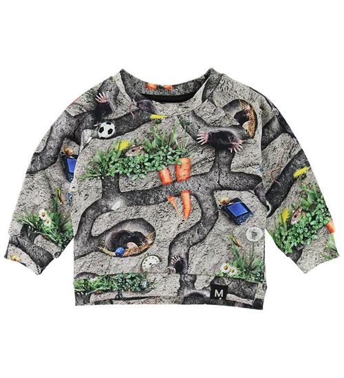 Se Molo Molo Sweatshirt - Dag - Moles ved KidsWorld