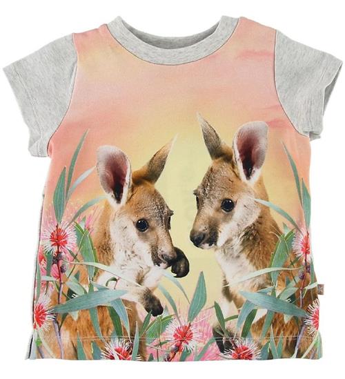 Molo Molo T-shirt - Elly - Cute Kangaroos