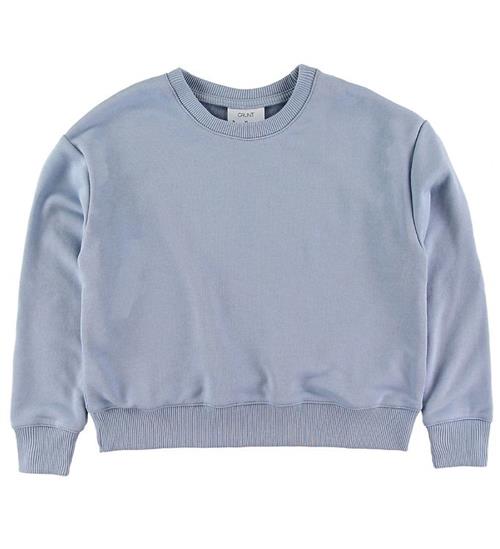 Grunt Grunt Sweatshirt - Lone - Baby Blue