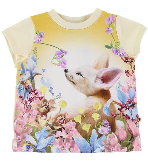 Molo Molo T-shirt - Elly - Fennec Baby