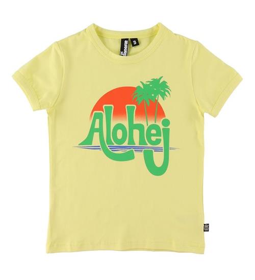 DanefÃ¦ DanefÃ¦ T-shirt - DaneRainbow Ringer - Yellow m. Alohej