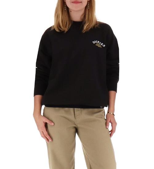 Dickies Dickies Sweatshirt - Fort Lewis - Sort