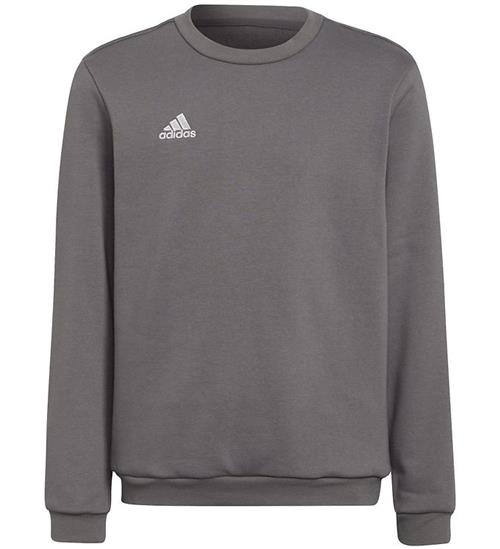 adidas Performance adidas Performance Sweatshirt - GrÃ¥