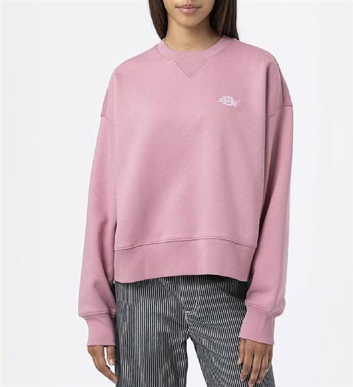 Dickies Dickies Sweatshirt - Summerdale - Foxglove