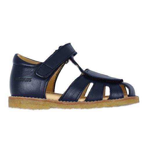 Angulus Angulus Begyndersandal - Navy